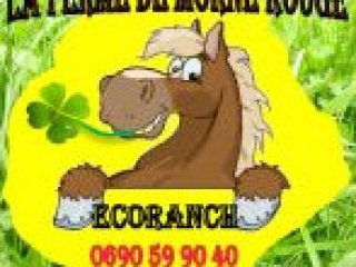 Ranch de Morne Rouge Marie Galante